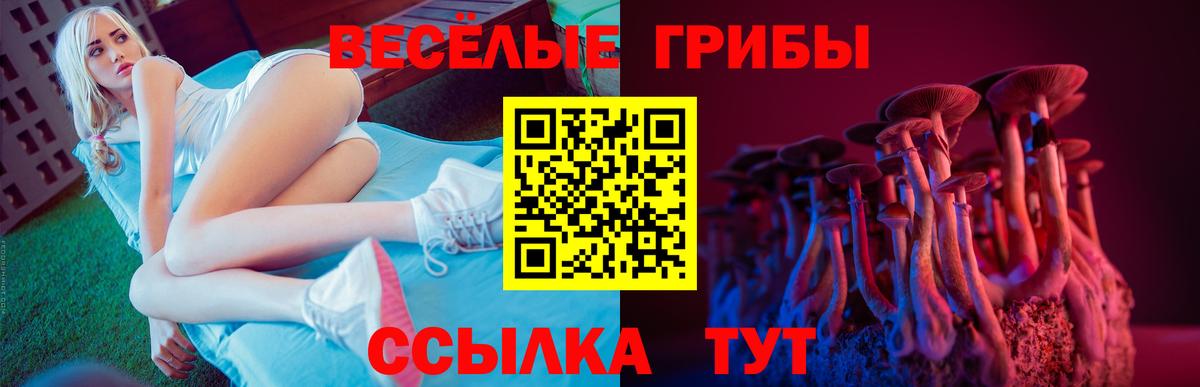 Галлюциногенные грибы мицелий  Вход с VPN  Кулебаки 